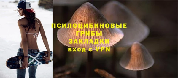 мдпв Надым