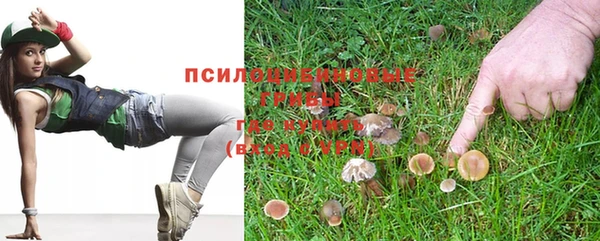 скорость Тобольск