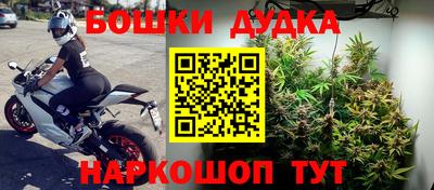 твердый Заводоуковск