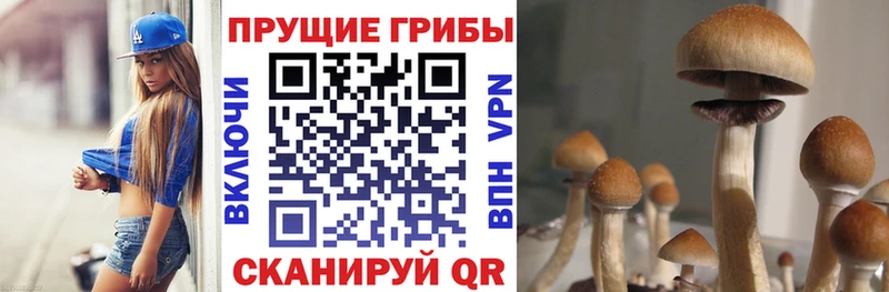 Галлюциногенные грибы мухоморы цена наркотик Кропоткин