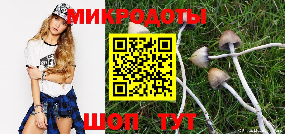 Кропоткин  Галлюциногенные грибы мицелий  Вход с VPN 