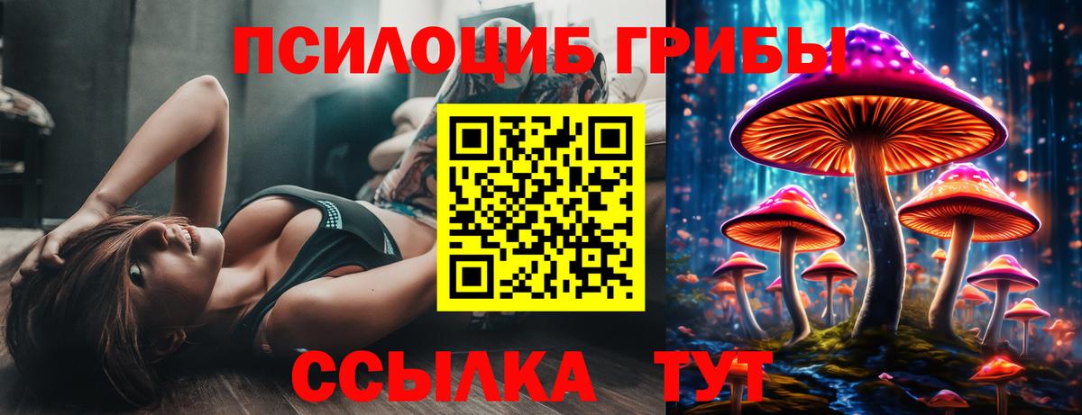 Галлюциногенные грибы MAGIC MUSHROOMS Кропоткин