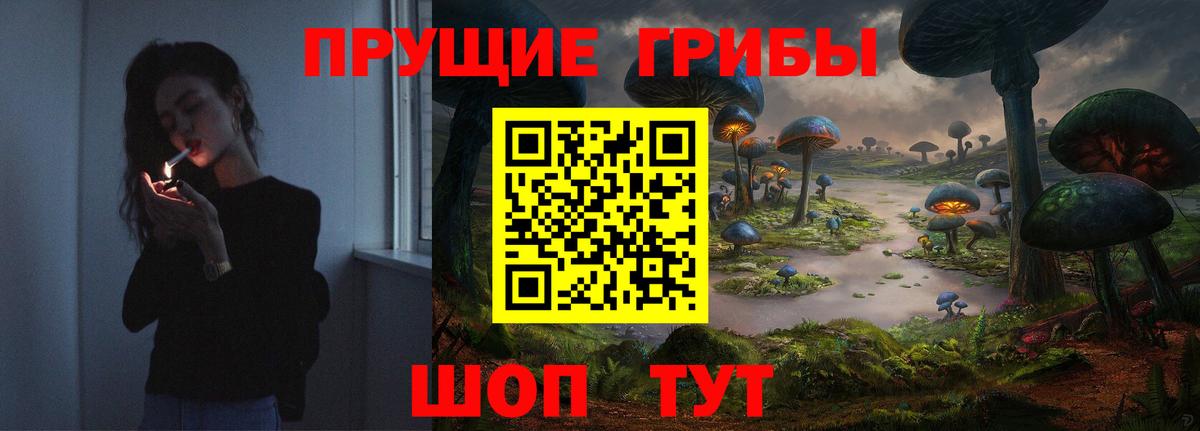 Галлюциногенные грибы Psilocybine cubensis  Галлюциногенные грибы GOLDEN TEACHER  Кропоткин 