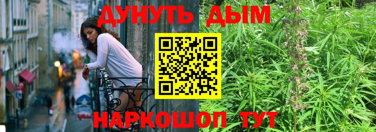 Шишки марихуана марихуана  Марихуана план  Кропоткин  Вход с VPN 